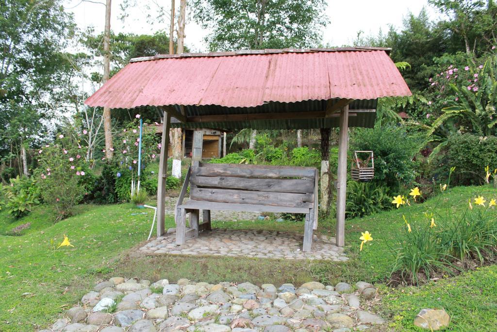 フィランディア La Gaviota Bnb Bed & Breakfast 部屋 写真