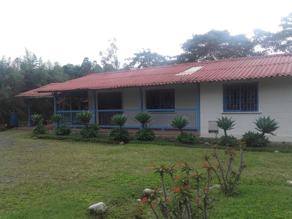 フィランディア La Gaviota Bnb Bed & Breakfast エクステリア 写真
